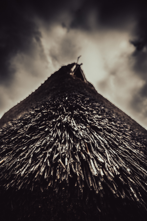 les fetes prehistoriques 289
